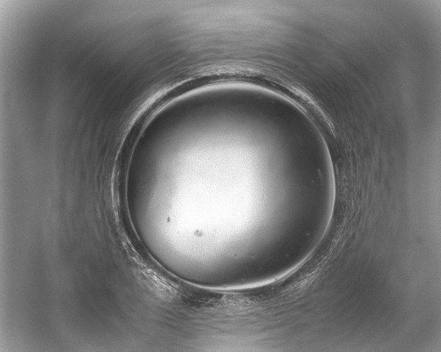 X0000059830983200510211208