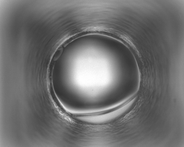 X0000059830984200510211208