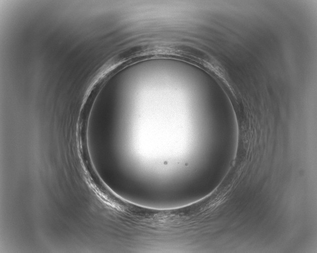 X0000059830987200510211208