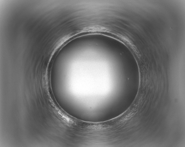 X0000059830990200510211208