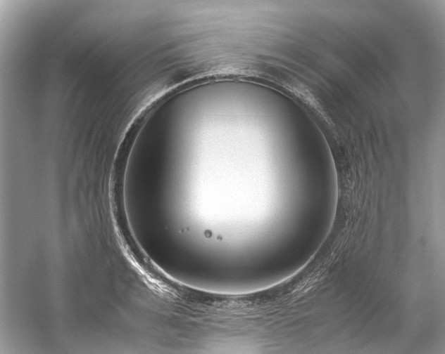 X0000059830991200510211208