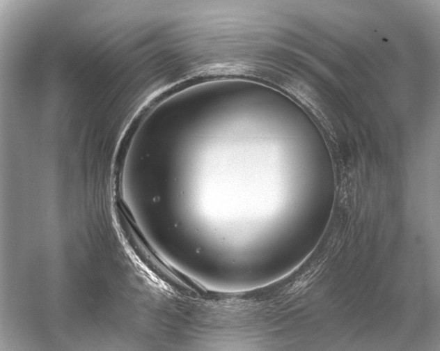 X0000059830992200510211208