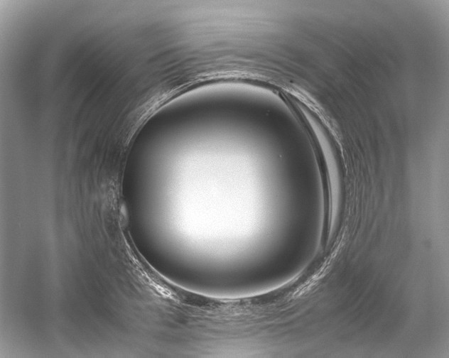 X0000059830993200510211208