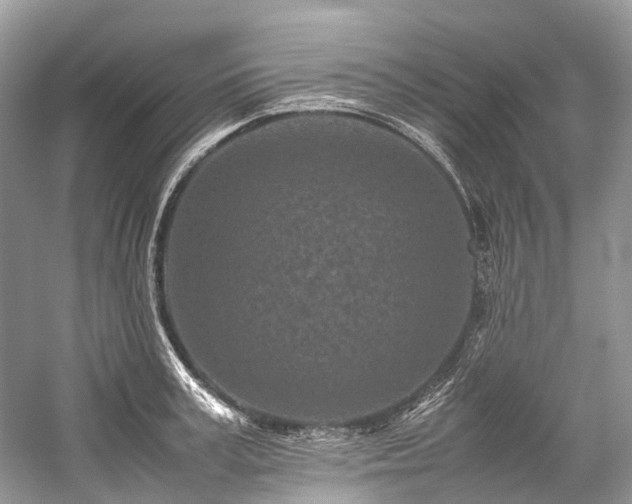 X0000059830995200510211208