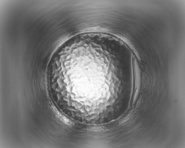 X0000059830998200510211208