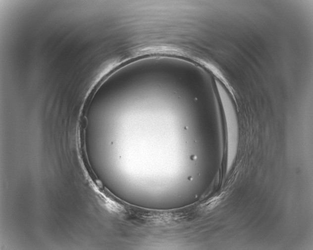 X0000059830999200510211208