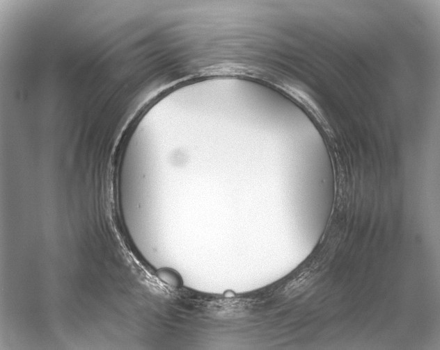 X0000059831000200510211208