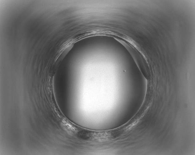 X0000059831001200510211208