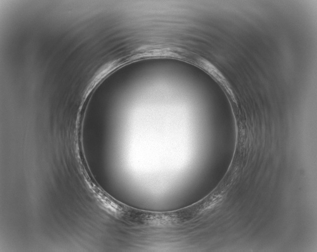 X0000059831002200510211208