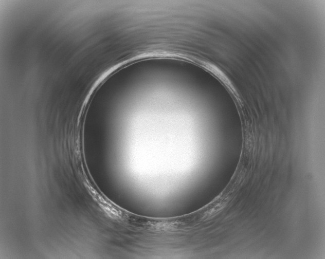 X0000059831004200510211208