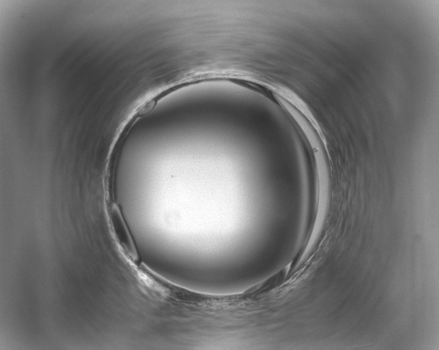 X0000059831005200510211208