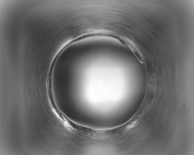 X0000059831007200510211208