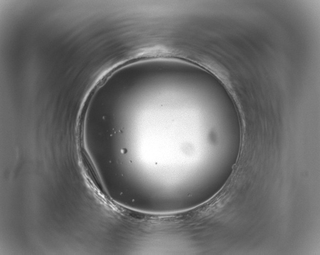 X0000059831008200510211208