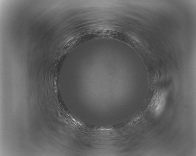 X0000059831013200510211207