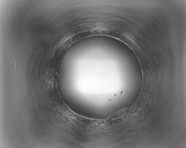 X0000059831015200510211207