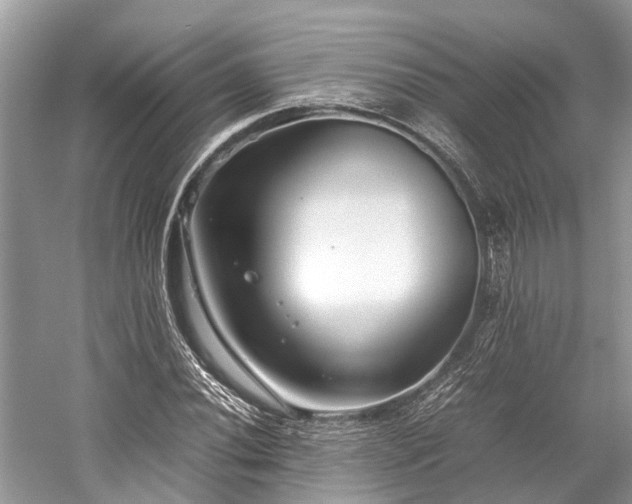 X0000059831020200510211207