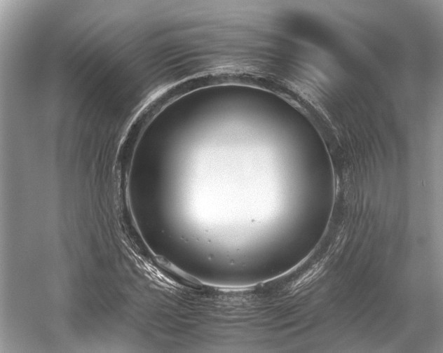 X0000059831021200510211207