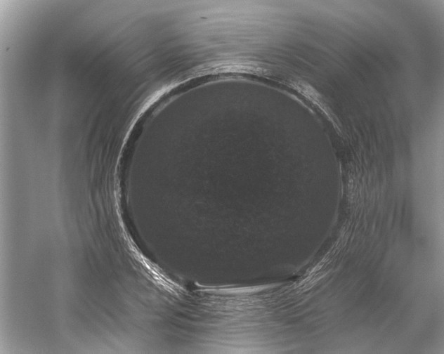 X0000059831024200510211207