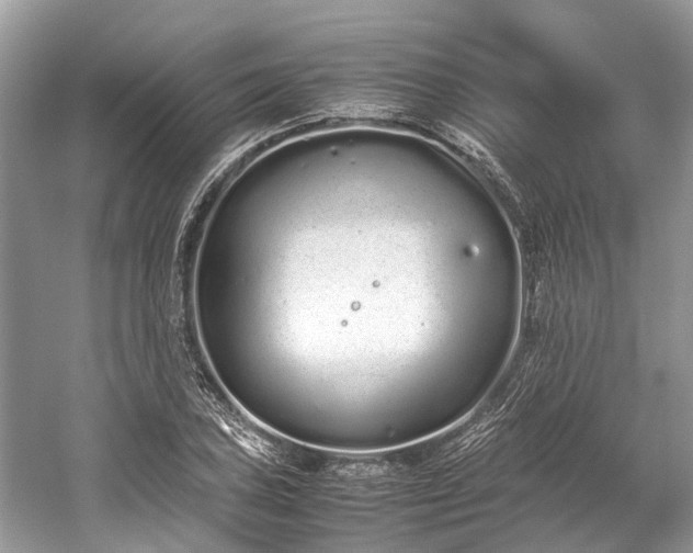 X0000059831027200510211207