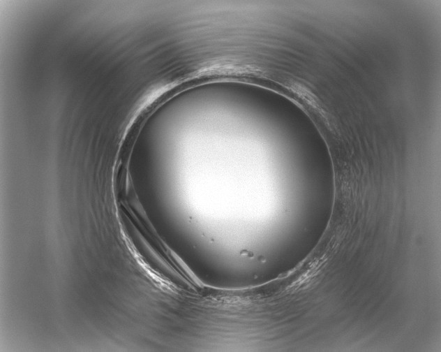 X0000059831030200510211207