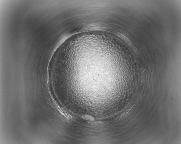 X0000059831031200510211207