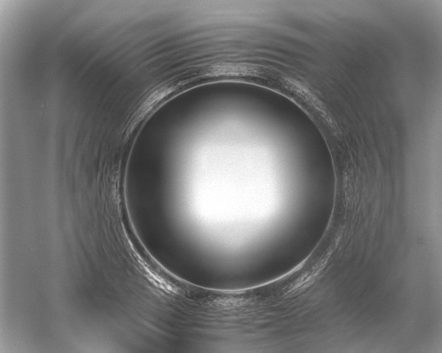 X0000059831033200510211207