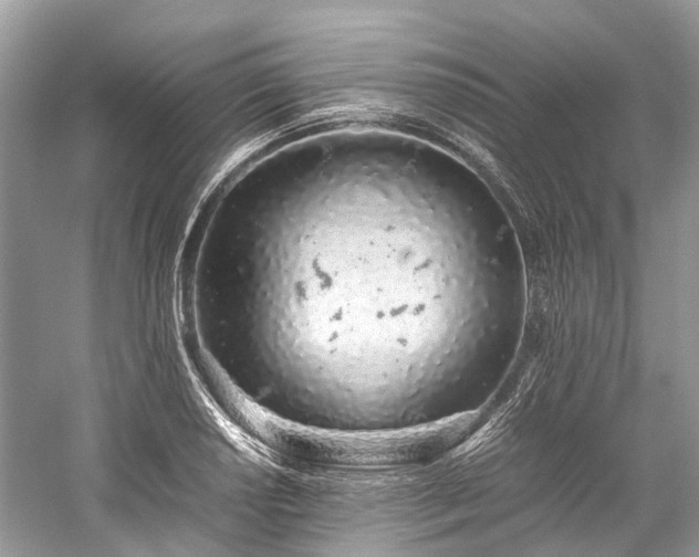 X0000059831034200510211207