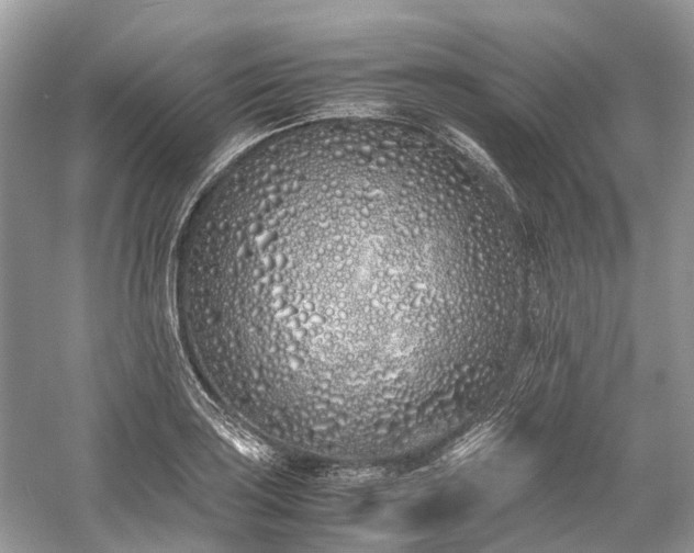 X0000059831035200510211207