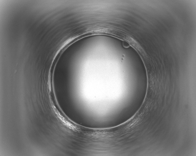 X0000059831036200510211208