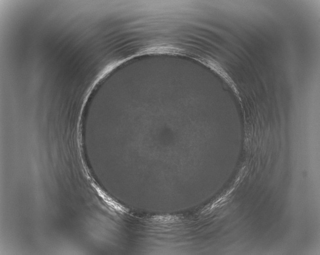 X0000059831037200510211208