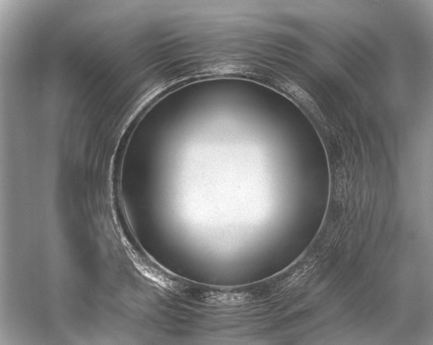 X0000059831039200510211208