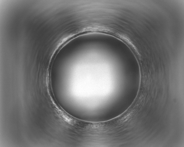 X0000059831040200510211208