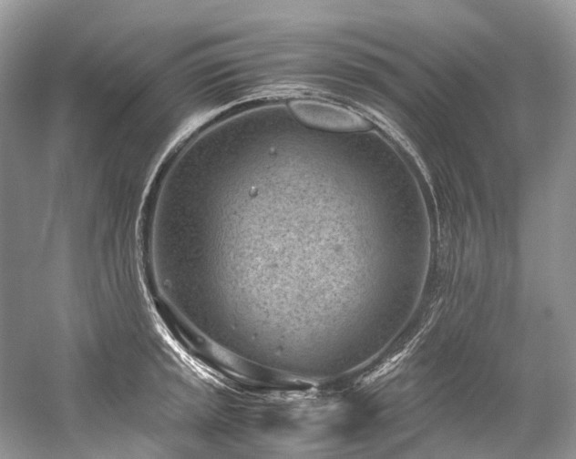 X0000059831045200510211208