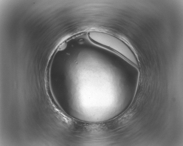 X0000059831048200510211208