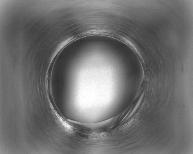 X0000059831050200510211208