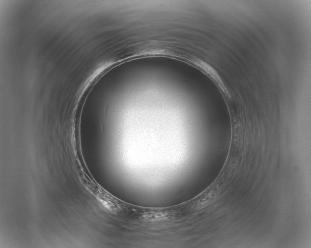 X0000059831051200510211208