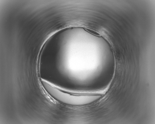 X0000059831052200510211208