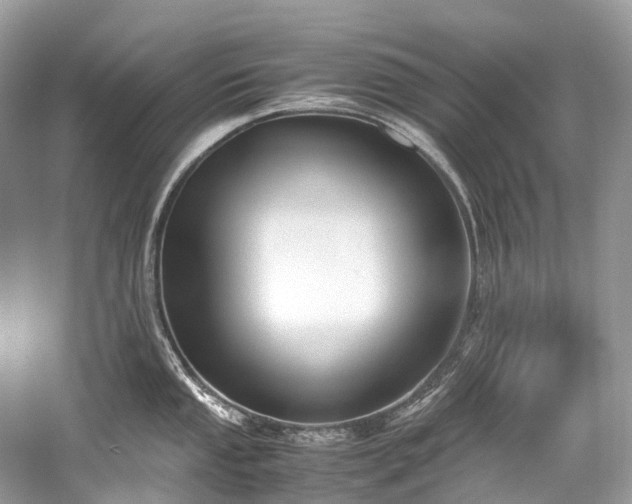 X0000059831053200510211208