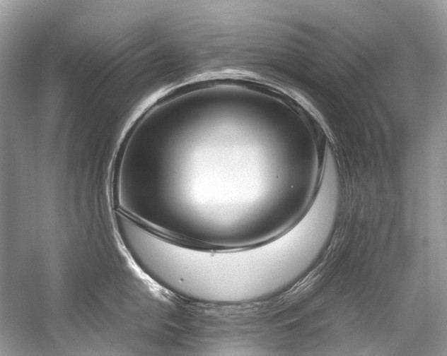 X0000059831054200510211208