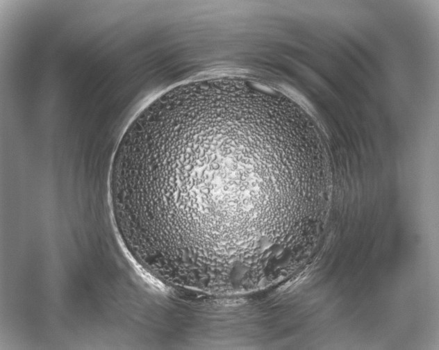 X0000059831055200510211208