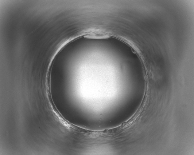 X0000059831056200510211208