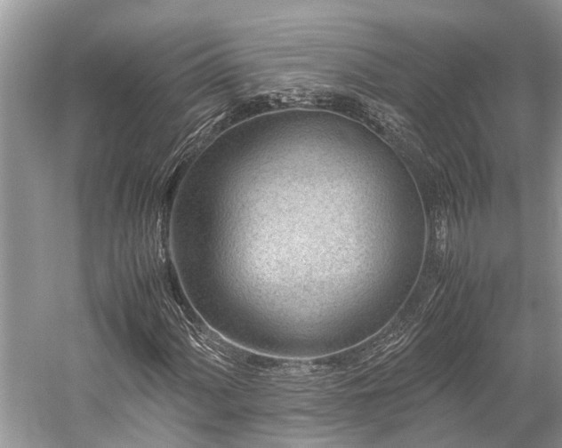 X0000059831060200510211207