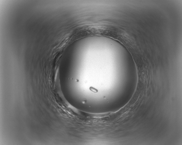 X0000059831061200510211207