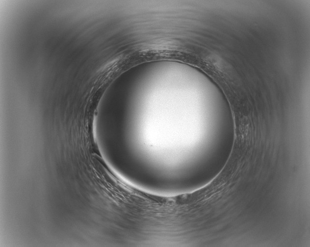 X0000059831062200510211207