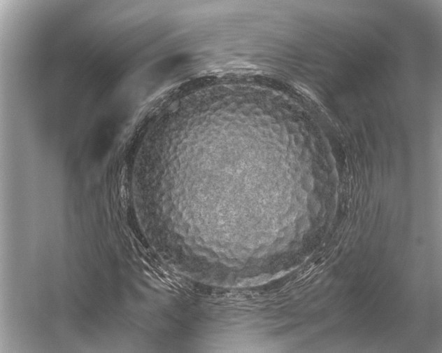 X0000059831063200510211207