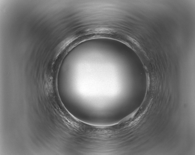 X0000059831066200510211207