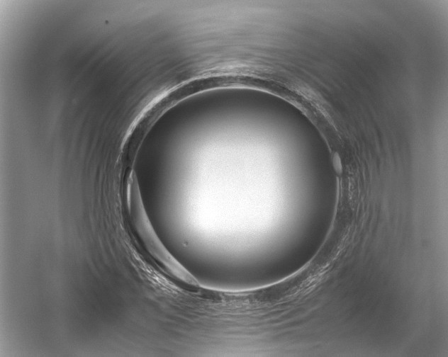 X0000059831069200510211207