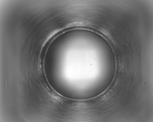 X0000059831070200510211207