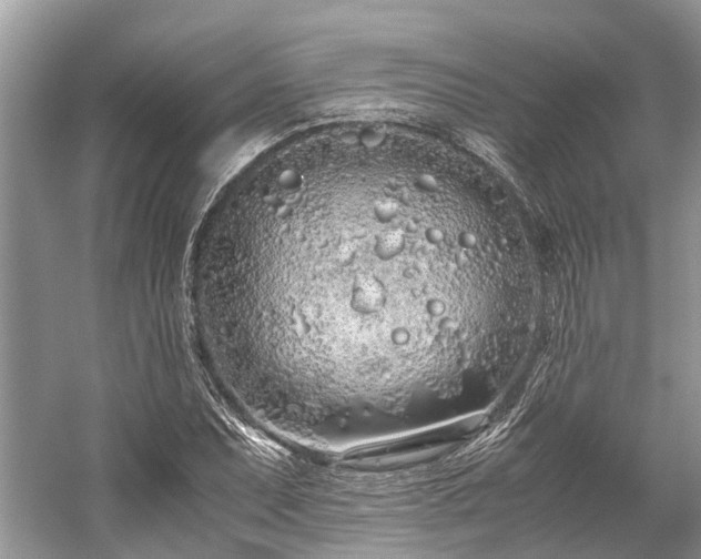 X0000059831071200510211207