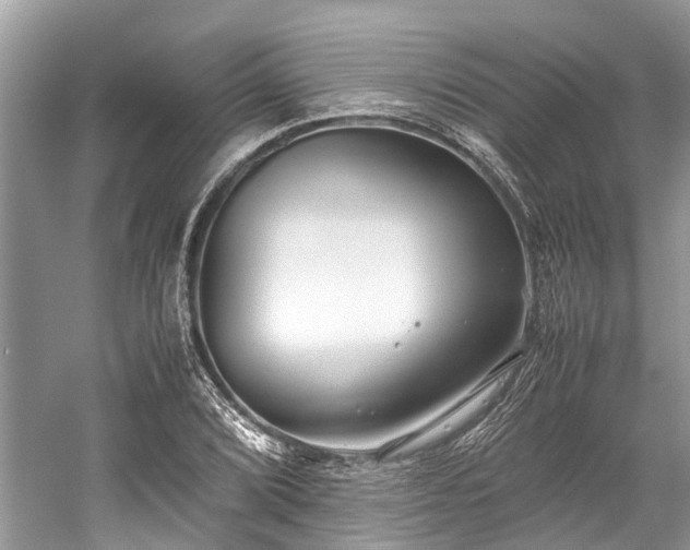 X0000059831072200510211207